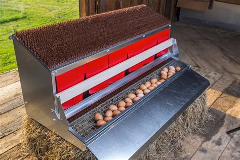 is a metal nesting box better than wood|best rated chicken nesting box.